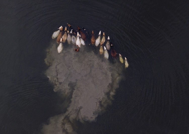 Environmental Photographer of the Year Environmental Photographer of the Year 2022