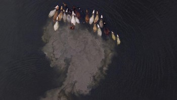 Efek Perubahan Iklim oleh Solayman Hossain. Finalis Keeping 1.5 Alive. Lokasi: Distrik Kushtia, Bangladesh “Selama musim hujan, sungai meluap dan desa tergenang air. Banjir juga berarti kekurangan makanan bagi hewan, yang harus diarahkan untuk mencari di tempat lain.” Foto: Environmental Photographer of the Year 