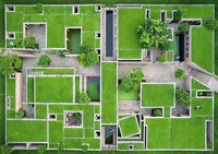 Environmental Photographer of the Year 2022
