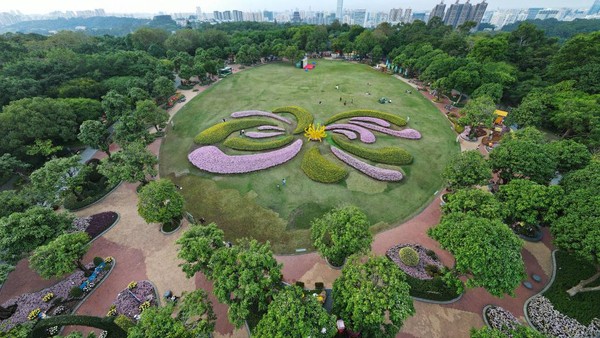 Pemandangan udara memperlihatkan rangkaian bunga krisan di Nanning, Guangxi Zhuang, China.