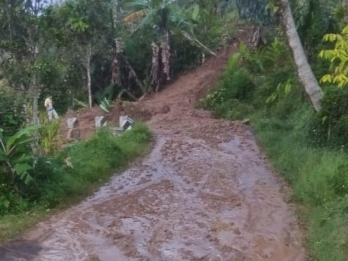 Longsor Tutupi Jalan Akses Warga Desa Mekarwangi Ciamis Tertutup