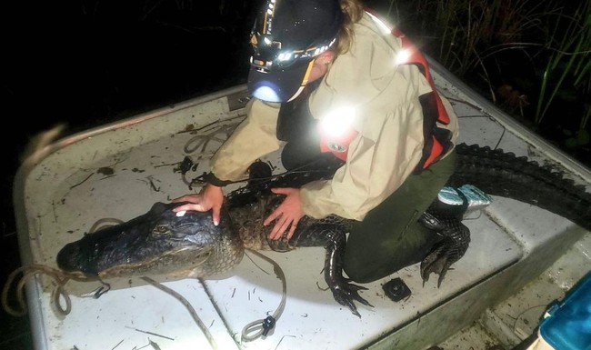 Orang-orang selalu bercanda aku seperti Hannah Montana karena aku suka posting ketika berada di lapangan melakukan hal-hal gila sampai pinggangku masuk ke lumpur setelah itu mereka tahu aku berada di acara mewah dengan riasan rambut dan makeup dan hak tinggi dan dress, ungkapnya kepada Insider.Foto: Instagram @rosiekmoore