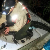 Orang-orang selalu bercanda aku seperti Hannah Montana karena aku suka posting ketika berada di lapangan melakukan hal-hal gila sampai pinggangku masuk ke lumpur setelah itu mereka tahu aku berada di acara mewah dengan riasan rambut dan makeup dan hak tinggi dan dress, ungkapnya kepada Insider.Foto: Instagram @rosiekmoore