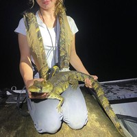 Karena profesinya, Rosie harus terjun langsung mengurus berbagai hal di pantai tersebut, termasuk hewan-hewan buas, seperti buaya dan ular. Di Instagram, ia tak jarang memperlihatkan keakraban bersama mereka.Foto: Instagram @rosiekmoore