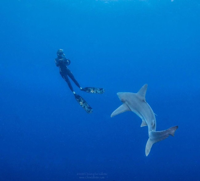 Ada sedikit niche bahwa wanita tidak bisa menyelam bebas dan menjadi model dengan hiu atau di dalam air, jadi aku mulai bertemu dengan para fotografer untuk beberapa pemotretan produk. Jadi aku bisa memperlihatkan wanita lain bahwa keren untuk punya hobi dan berada di luar ruangan, ujarnya. Foto: Instagram @rosiekmoore