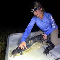 Pekerjaan utama Rosie Moore adalah seorang peneliti yang bertugas di Pantai Belray, Florida, AS. Ia merupakan bagian dari tim manajemen untuk menjaga kelangsungan sumber daya air pantai. Dalam berbagai postingan Rosie memperlihatkan bagaimana ia merawat binatang-binatang di sana hingga membantu mengeluarkan buaya dari perut ular.Foto: Instagram @rosiekmoore