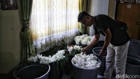 Rencananya akad nikah Kaesang Pangarep dengan Erina Gudono akan dilakukan di Pendopo Agung Kedaton Ambarrukmo, Sleman, Sabtu (10/12/2022) mendatang. Sedangkan acara tasyakuran berlangsung di Puro Mangkunegaran, Solo, Minggu (11/12/2022).