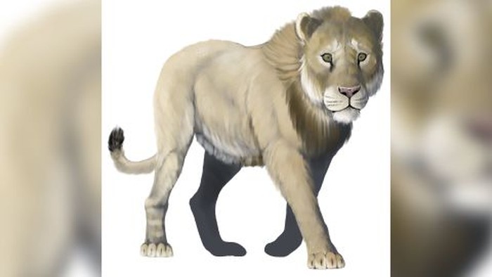 Singa raksasa AS