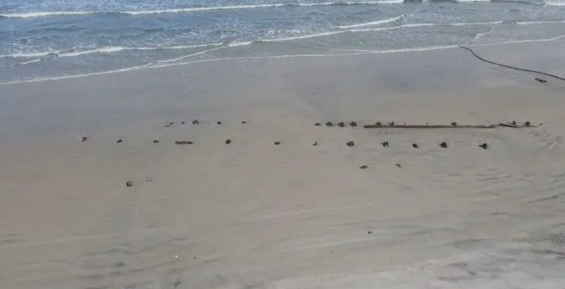 Benda misterius muncul di pantai Florida setelah badai
