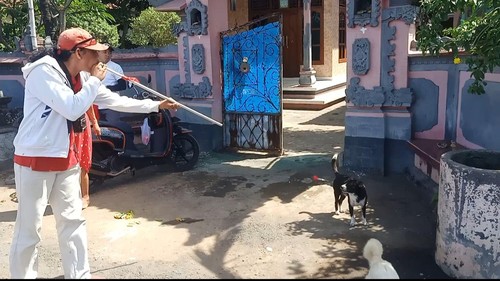 Tim vaksinator Jembrana melakukan vaksinasi darurat terhadap anjing liar menyusul ditemukannya kasus rabies di Kelurahan Gilimanuk, Kecamatan Melaya, Kabupaten Jembrana, Rabu (7/12/2022).