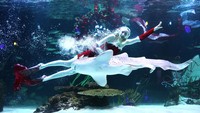 Seorang penyelam berenang dengan ikan di Akuarium Aqua Planet, Seoul, Korea Selatan, Kamis (8/12/2022).