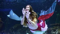 Penyelam cantik ini tampil dalam acara untuk mempromosikan festival natal.