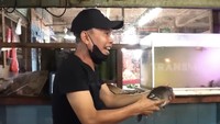 Ayah Ojak terlihat membeli beberapa kilogram ikan. Ia sampai menangkap sendiri ikan mas hidup di dalam kolam. Foto: YouTube Trans7 Official / Qiss You TV