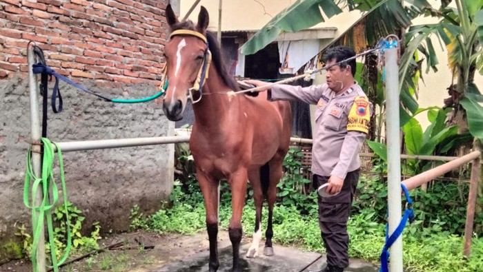 Babhinkamtibmas di Polsek Kesugihan Polresta Cilacap, Aiptu Warsito (46) bersama kudanya di rumah Cilacap