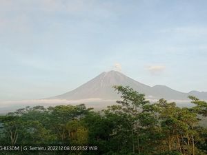 Gunung Semeru Kembali Erupsi, Tinggi Letusan 300 Meter dari Puncak