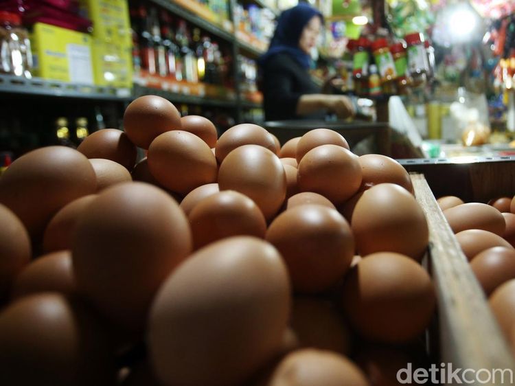 Harga Telur Ayam Tembus Rp 30.000/Kg Jelang Ramadhan
