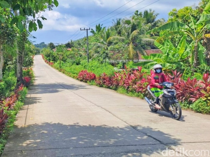 jalan di desa sumberagung, pesanggaran, banyuwangi