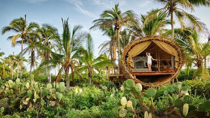 Keren, Rumah Bambu Ini Pakai Listrik Tenaga Surya Rumah yang terbuat dari bambu ini ternyata tak sesederhana seperti yang terlihat. Untuk mendapatkan pasokan listrik rumah ini menggunakan tenaga surya.