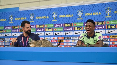 Meong! Ada Kucing Ikut Konferensi Pers Timnas Brasil
