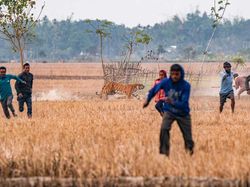 Karya Memukau Jawara Kontes Foto inFocus Bikin Terkesima
