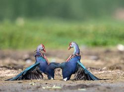 Karya Memukau Jawara Kontes Foto inFocus Bikin Terkesima