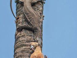 Karya Memukau Jawara Kontes Foto inFocus Bikin Terkesima