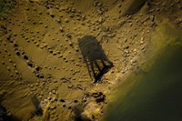 Nature inFocus Award 2022