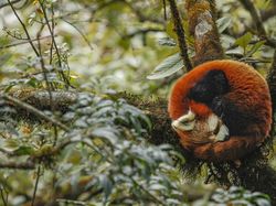 Karya Memukau Jawara Kontes Foto inFocus Bikin Terkesima
