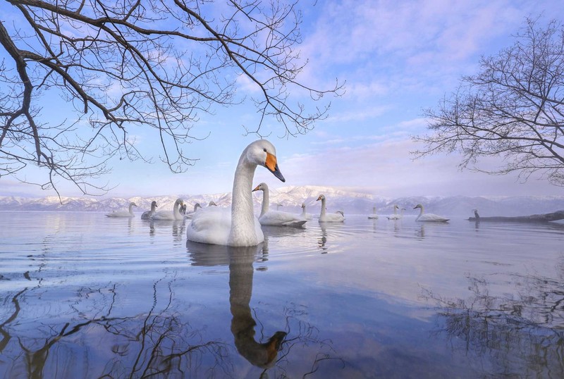 Nature inFocus Award 2022