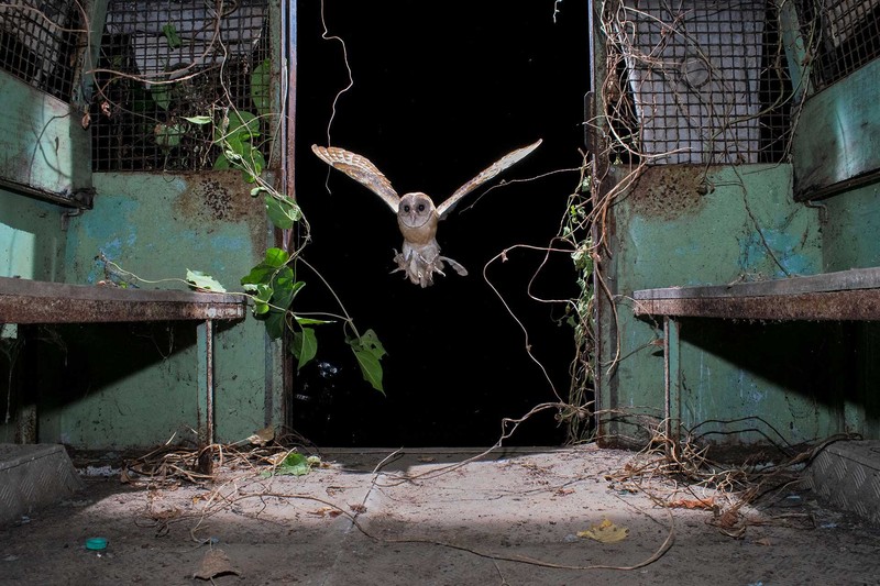 Nature inFocus Award 2022