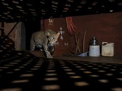 Karya Memukau Jawara Kontes Foto inFocus Bikin Terkesima