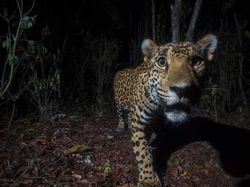 Karya Memukau Jawara Kontes Foto inFocus Bikin Terkesima