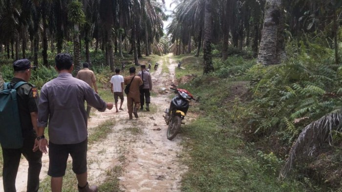 Petugas mencari jejak harimau yang diduga memangsa ternak warga. (Foto: Dok. BKSDA Riau)