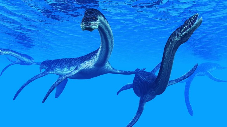 Plesiosaurus marine reptile dinosaurs swim together in Jurassic Seas to find their next prey.