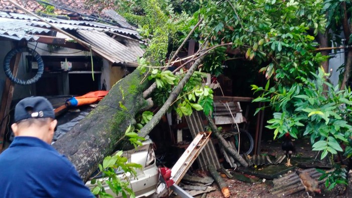Pohon tumbang timpa rumah warga