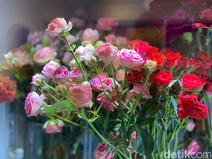 Renflorist, Toko Bunga Langganan Erina Gudono