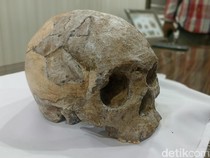 Mengenal Suku Wajak, Suku Tertua di RI yang Hilang Secara Misterius