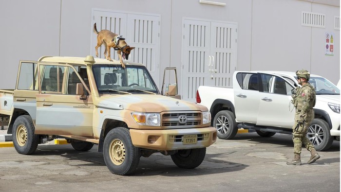 DOHA, QATAR - DECEMBER 01: A trained dog of the members of the defense squadron of the Turkish Armed Forces elements, including TCG Burgazada and Chemical, Biological, Radiological and Nuclear (CBRN), anti-drone and bomb disposal search division take part in the security of the FIFA 2022 World Cup in Doha, Qatar on December 01, 2022. (Photo by Serhat Cagdas/Anadolu Agency via Getty Images)