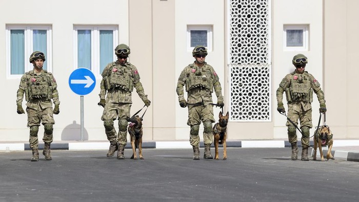 Saat Anjing Ikut Amankan Piala Dunia di Qatar, Mampu Lacak Bom DOHA, QATAR - DECEMBER 01: A trained dog of the members of the defense squadron of the Turkish Armed Forces elements, including TCG Burgazada and Chemical, Biological, Radiological and Nuclear (CBRN), anti-drone and bomb disposal search division take part in the security of the FIFA 2022 World Cup in Doha, Qatar on December 01, 2022. (Photo by Serhat Cagdas/Anadolu Agency via Getty Images)