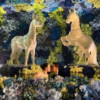 Sudah resmi menjadi pasangan suami dan istri, Chelsea dan Clinton pun tak malu-malu lagi untuk memamerkan kemesraannya. Duduk di tengah meja tamu dengan background dua buah kuda, keduanya tampak berciuman mesra. Foto: Instagram/@lxemoments