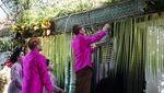 Momen Jokowi Pasang Bleketepe Pernikahan Kaesang