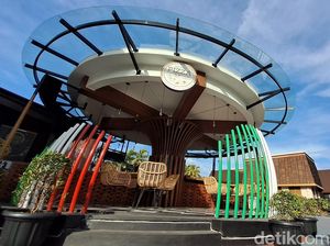 Cicipi & Lihat Langsung Pembuatan Pizza di Tempat yang Instagramable