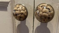 Sama seperti pickle, kacang biasanya disimpan dalam stoples. Namun, penyimpanan kacang satu ini sangat unik karena diletakkan dalam gagang pintu transparan. Foto: site news