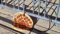 Pizza biasanya disajikan dalam loyang. Namun, foto satu ini memperlihatkan pizza yang ditusukkan ke kunci sepeda dan berada di jalanan. Foto: site news