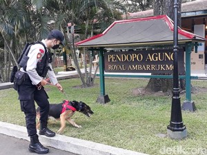 4 Anjing Pelacak Ikut Patroli di Lokasi Akad Nikah Kaesang dan Erina