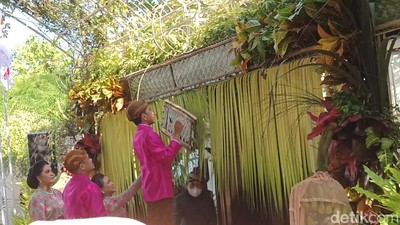 Berbeskap Pink, Jokowi Pasang Bleketepe Jelang Pernikahan Kaesang