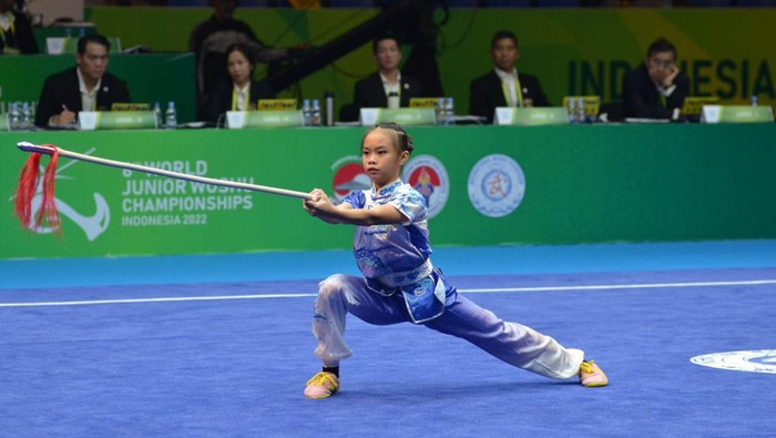 Wushu