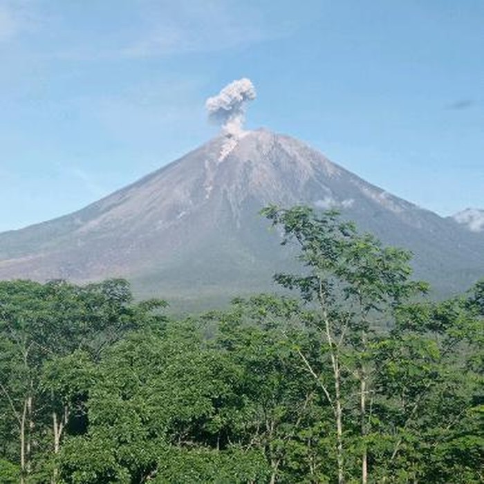 Gunung Semeru erupsi pada Sabtu (10/12/2022) pukul 06.53 WIB. Itu seperti yang diterangkan dalam situs Magma Indonesia.