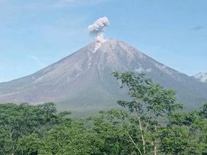 Erupsi Semeru Hari Ini, Tinggi Semburan Abu 700 Meter di Atas Puncak