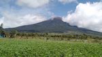 Potret Gunung Kerinci Terkini Usai Erupsi, Tampak Kembali Normal